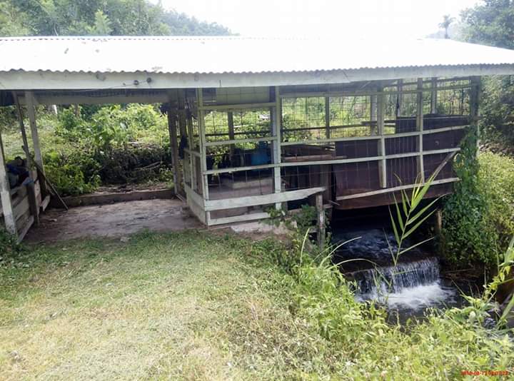 Hamid bin jasmin@gimbad